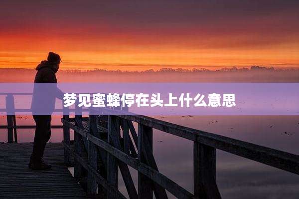 梦见蜜蜂停在头上什么意思