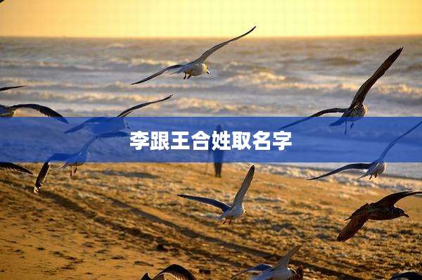 李跟王合姓取名字