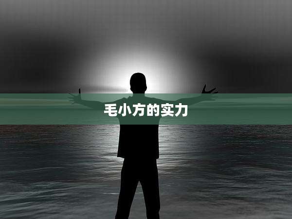 毛小方的实力