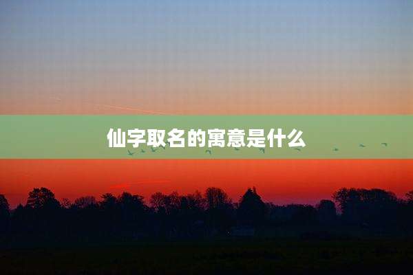 仙字取名的寓意是什么