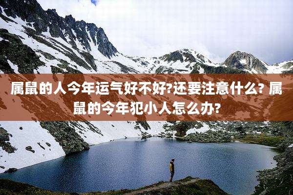 属鼠的人今年运气好不好?还要注意什么? 属鼠的今年犯小人怎么办?