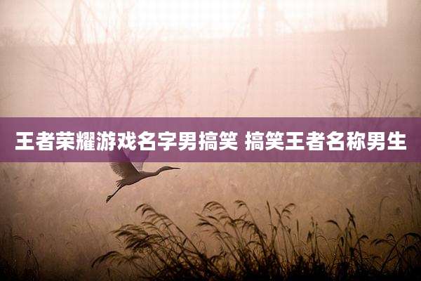 王者荣耀游戏名字男搞笑 搞笑王者名称男生