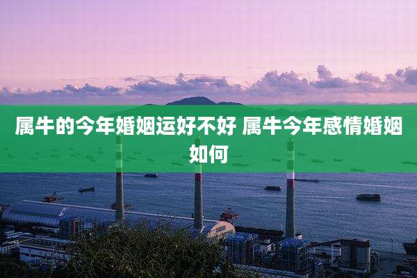属牛的今年婚姻运好不好 属牛今年感情婚姻如何