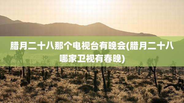 腊月二十八那个电视台有晚会(腊月二十八哪家卫视有春晚)