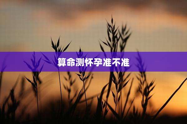 算命测怀孕准不准