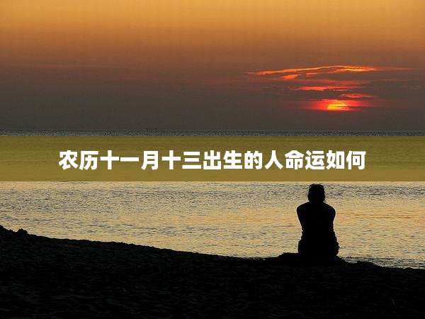 农历十一月十三出生的人命运如何