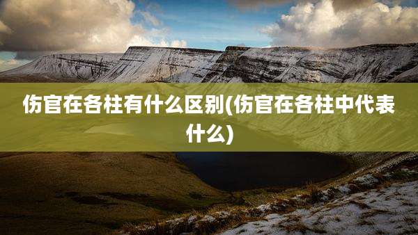 伤官在各柱有什么区别(伤官在各柱中代表什么)