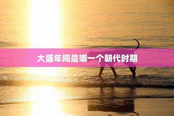大盛年间是哪一个朝代时期