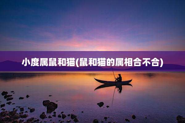 小度属鼠和猫(鼠和猫的属相合不合)