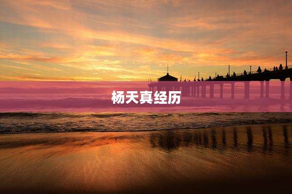 杨天真经历