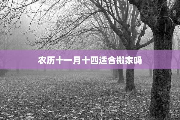 农历十一月十四适合搬家吗