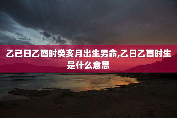 乙已日乙酉时癸亥月出生男命,乙日乙酉时生是什么意思
