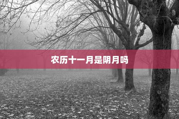 农历十一月是阴月吗