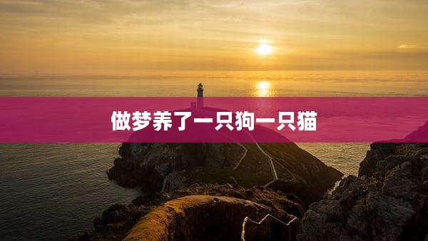 做梦养了一只狗一只猫