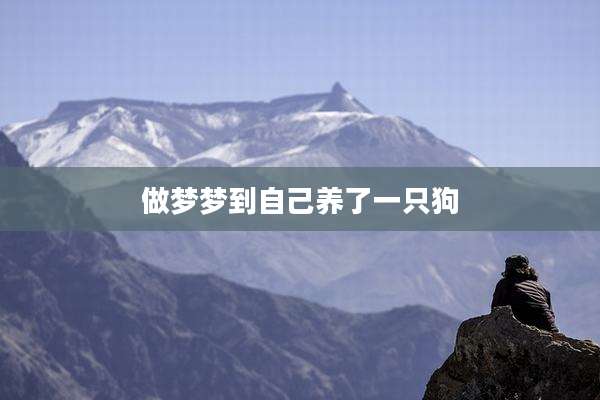 做梦梦到自己养了一只狗