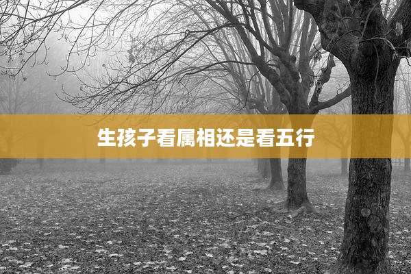 生孩子看属相还是看五行
