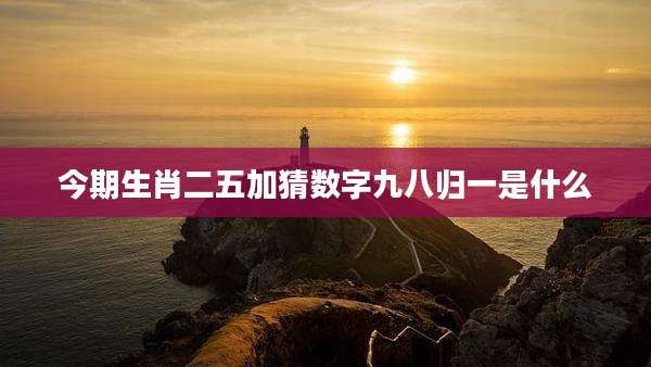 今期生肖二五加猜数字九八归一是什么