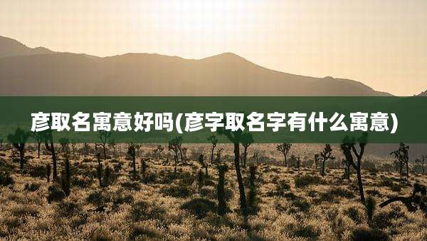 彦取名寓意好吗(彦字取名字有什么寓意)
