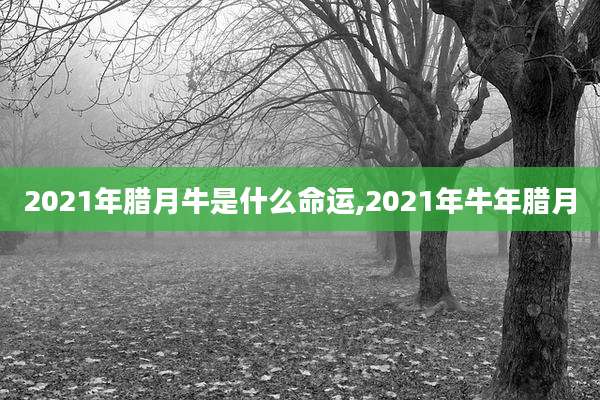 2021年腊月牛是什么命运,2021年牛年腊月