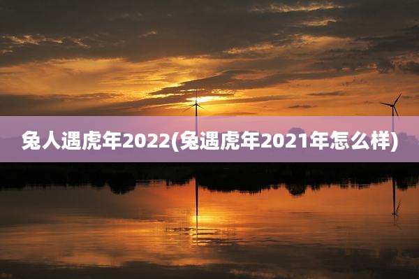 兔人遇虎年2022(兔遇虎年2021年怎么样)