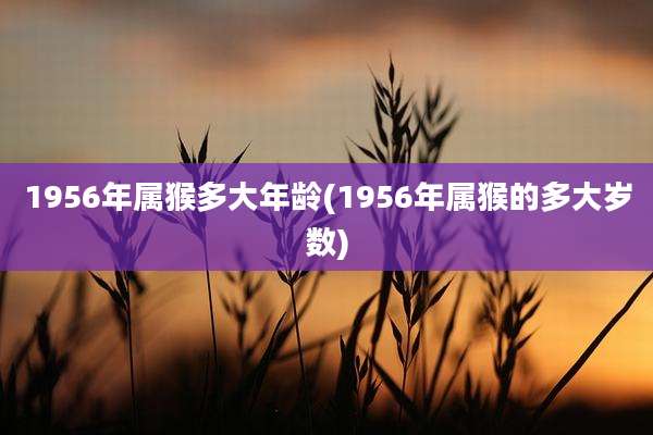 1956年属猴多大年龄(1956年属猴的多大岁数)