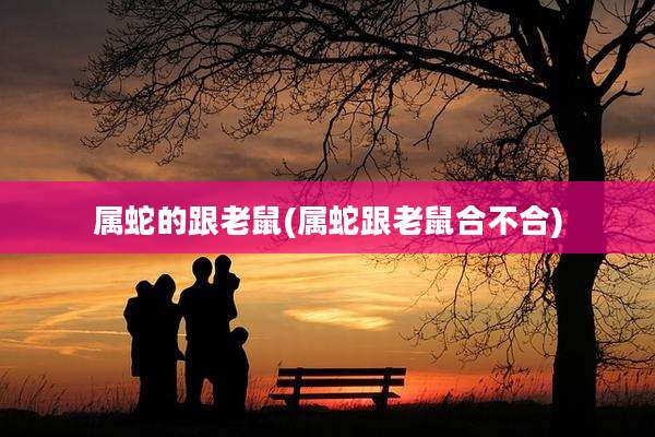 属蛇的跟老鼠(属蛇跟老鼠合不合)