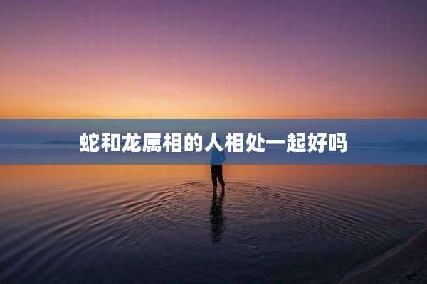 蛇和龙属相的人相处一起好吗