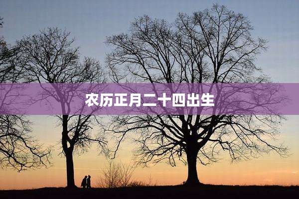 农历正月二十四出生