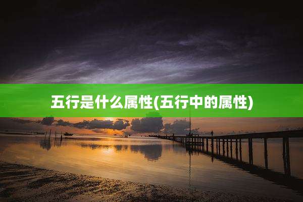 五行是什么属性(五行中的属性)