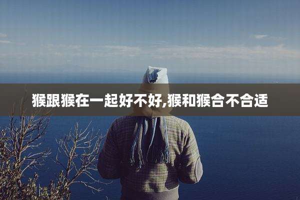 猴跟猴在一起好不好,猴和猴合不合适