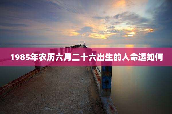 1985年农历六月二十六出生的人命运如何
