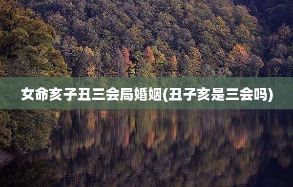 女命亥子丑三会局婚姻(丑子亥是三会吗)