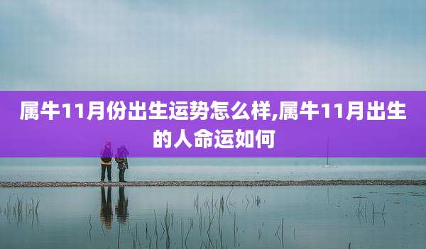 属牛11月份出生运势怎么样,属牛11月出生的人命运如何