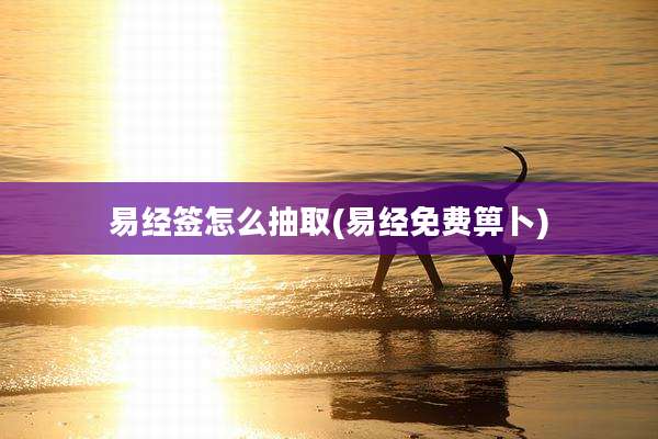 易经签怎么抽取(易经免费箅卜)