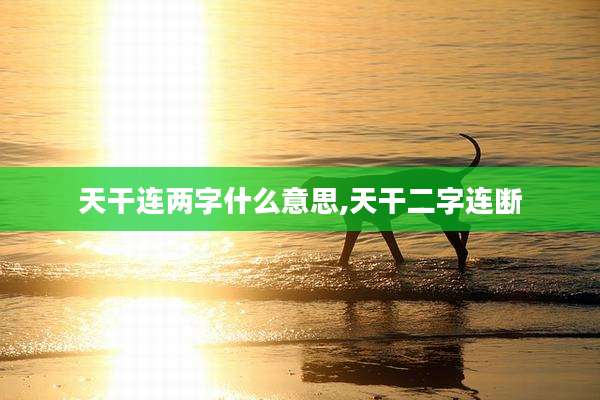 天干连两字什么意思,天干二字连断