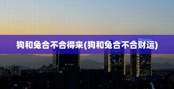狗和兔合不合得来(狗和兔合不合财运)