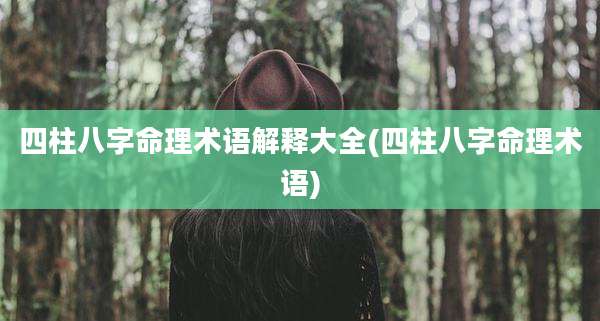 四柱八字命理术语解释大全(四柱八字命理术语)