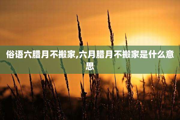 俗语六腊月不搬家,六月腊月不搬家是什么意思