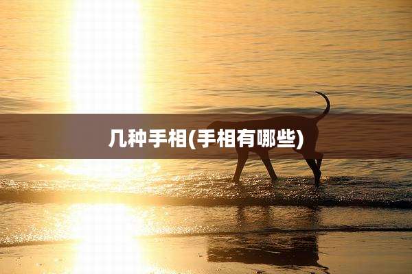 几种手相(手相有哪些)