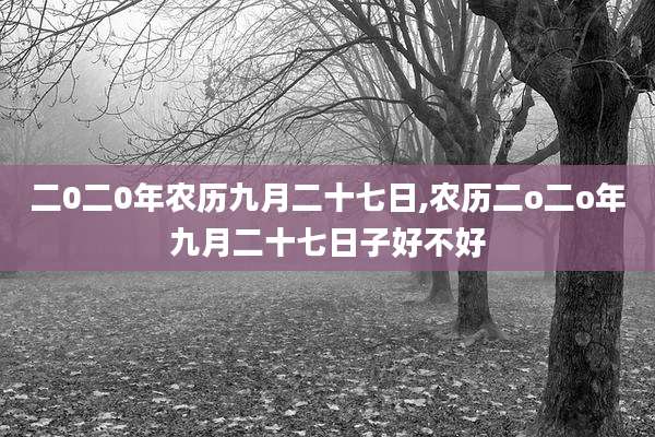 二0二0年农历九月二十七日,农历二o二o年九月二十七日子好不好