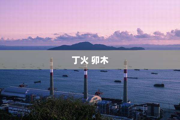 丁火 卯木