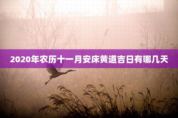 2020年农历十一月安床黄道吉日有哪几天