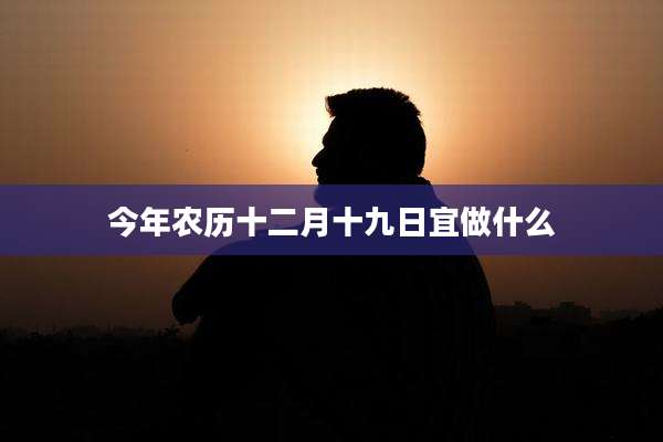 今年农历十二月十九日宜做什么