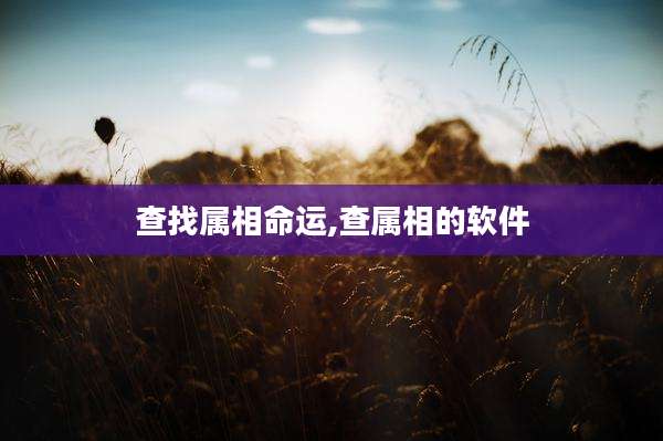 查找属相命运,查属相的软件