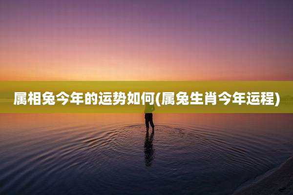 属相兔今年的运势如何(属兔生肖今年运程)