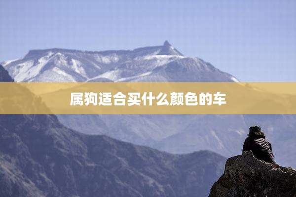 属狗适合买什么颜色的车