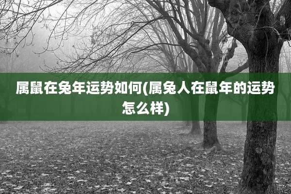 属鼠在兔年运势如何(属兔人在鼠年的运势怎么样)