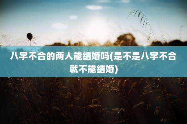 八字不合的两人能结婚吗(是不是八字不合就不能结婚)