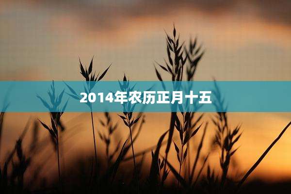 2014年农历正月十五