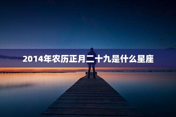 2014年农历正月二十九是什么星座